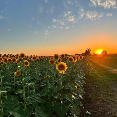 Casa Dei Pini Кортона